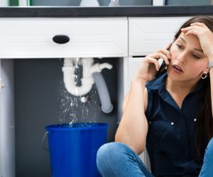 About Plumbers Pros Fielding, UT